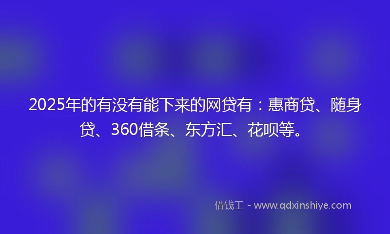 2025年的有没有能下来的网贷有：惠商贷、随身贷、360借条、东方汇、花呗等。