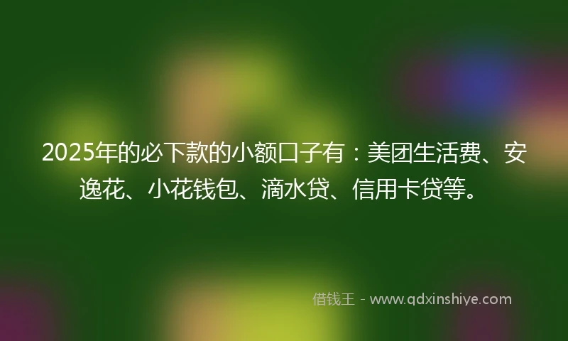 2025年的必下款的小额口子有：美团生活费、安逸花、小花钱包、滴水贷、信用卡贷等。