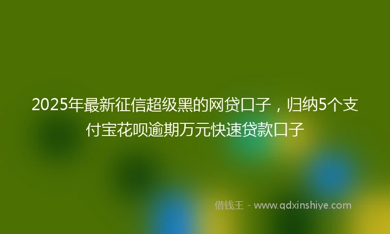 2025年最新征信超级黑的网贷口子，归纳5个支付宝花呗逾期万元快速贷款口子