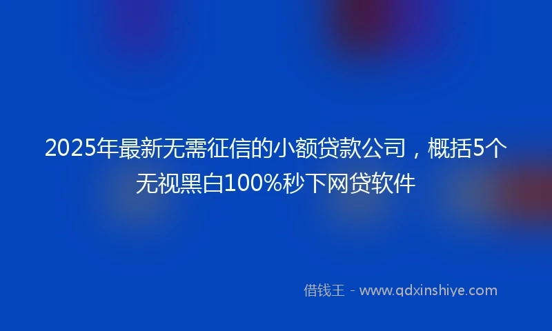 2025年最新无需征信的小额贷款公司，概括5个无视黑白100%秒下网贷软件