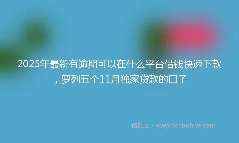 2025年最新有逾期可以在什么平台借钱快速下款，罗列五个11月独家贷款的口子
