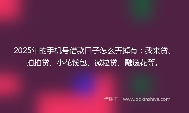 2025年的手机号借款口子怎么弄掉有：我来贷、拍拍贷、小花钱包、微粒贷、融逸花等。