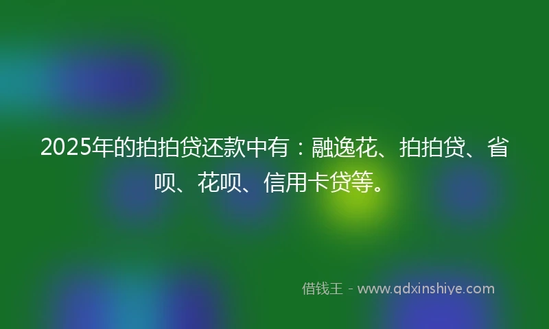2025年的拍拍贷还款中有：融逸花、拍拍贷、省呗、花呗、信用卡贷等。