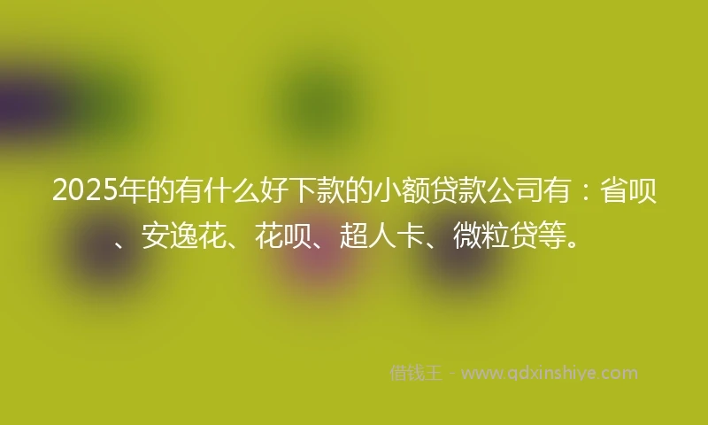 2025年的有什么好下款的小额贷款公司有：省呗、安逸花、花呗、超人卡、微粒贷等。