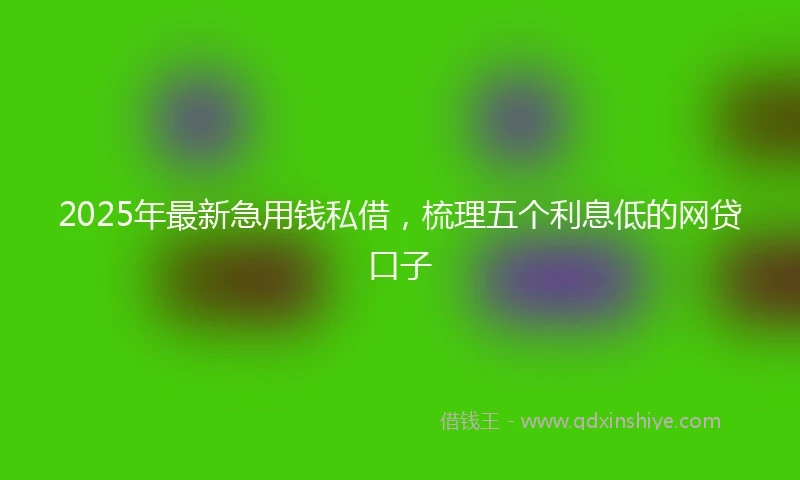 2025年最新急用钱私借，梳理五个利息低的网贷口子