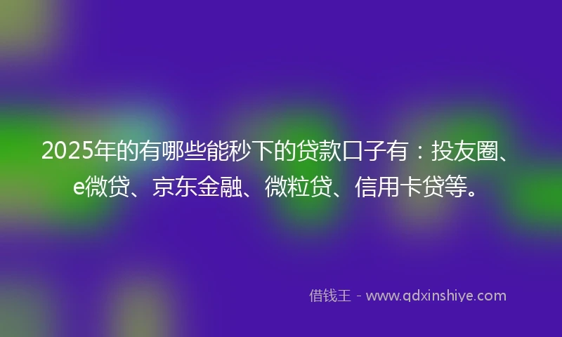2025年的有哪些能秒下的贷款口子有：投友圈、e微贷、京东金融、微粒贷、信用卡贷等。