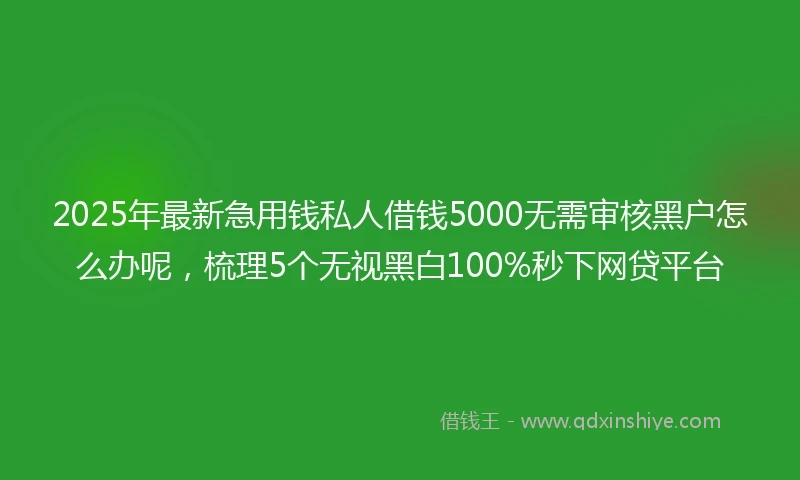 2025年最新急用钱私人借钱5000无需审核黑户怎么办呢，梳理5个无视黑白100%秒下网贷平台