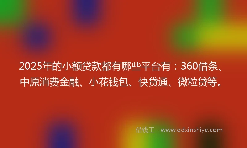 2025年的小额贷款都有哪些平台有：360借条、中原消费金融、小花钱包、快贷通、微粒贷等。