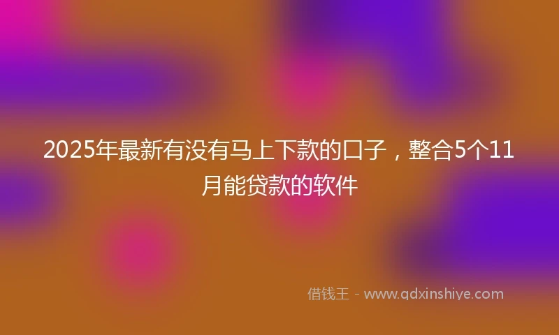 2025年最新有没有马上下款的口子，整合5个11月能贷款的软件