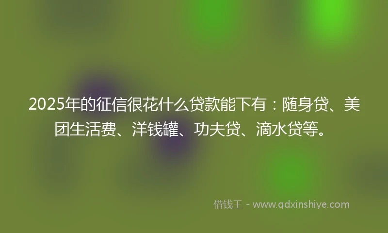 2025年的征信很花什么贷款能下有：随身贷、美团生活费、洋钱罐、功夫贷、滴水贷等。