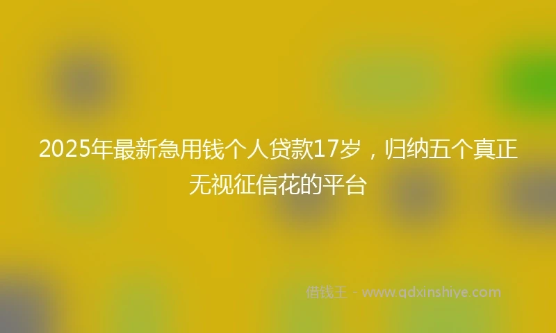 2025年最新急用钱个人贷款17岁，归纳五个真正无视征信花的平台