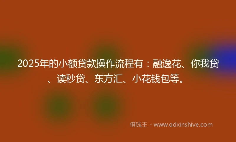 2025年的小额贷款操作流程有：融逸花、你我贷、读秒贷、东方汇、小花钱包等。