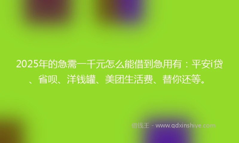 2025年的急需一千元怎么能借到急用有：平安i贷、省呗、洋钱罐、美团生活费、替你还等。
