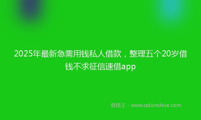 2025年最新急需用钱私人借款，整理五个20岁借钱不求征信速借app