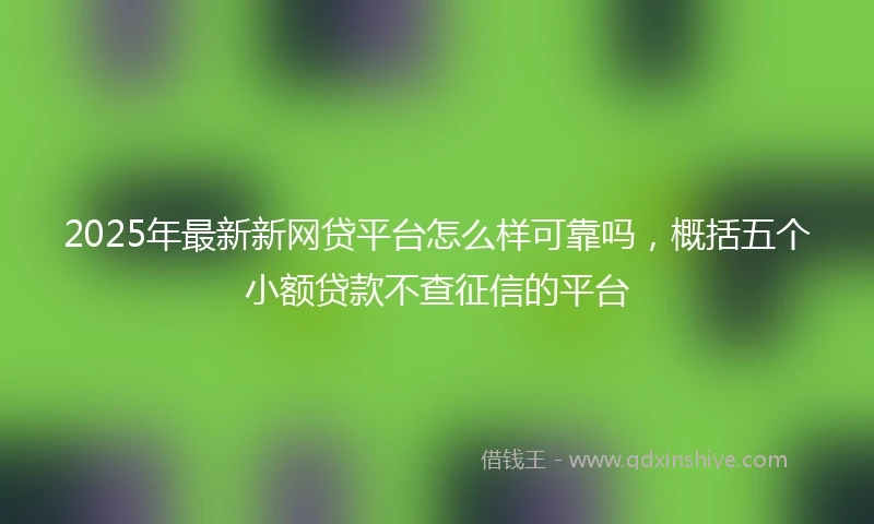 2025年最新新网贷平台怎么样可靠吗，概括五个小额贷款不查征信的平台