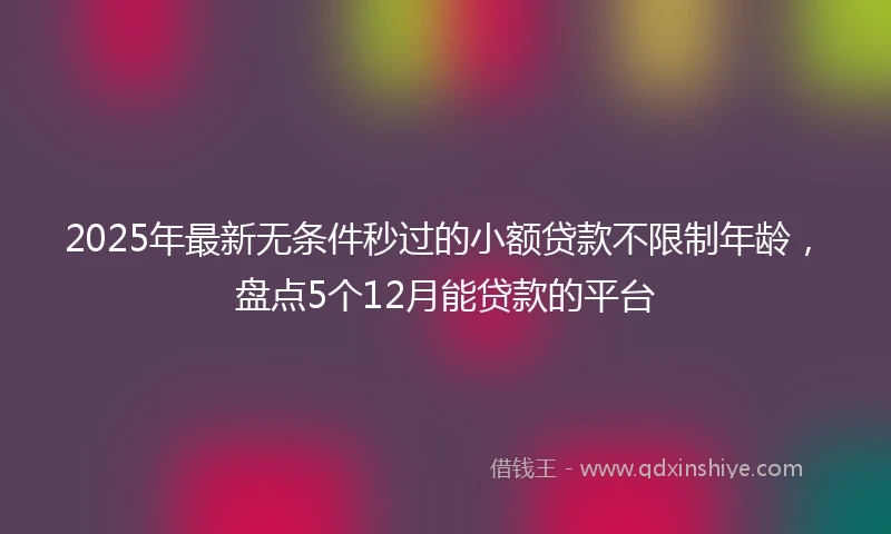 2025年最新无条件秒过的小额贷款不限制年龄，盘点5个12月能贷款的平台