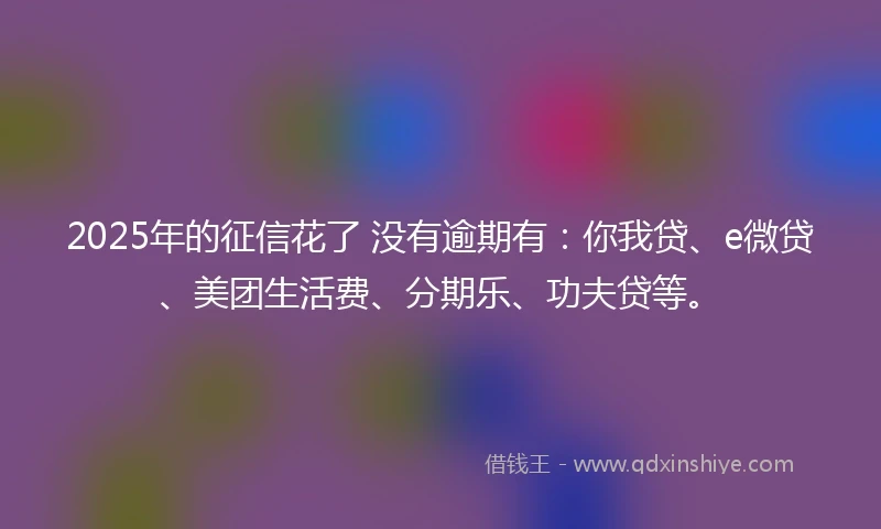 2025年的征信花了 没有逾期有：你我贷、e微贷、美团生活费、分期乐、功夫贷等。