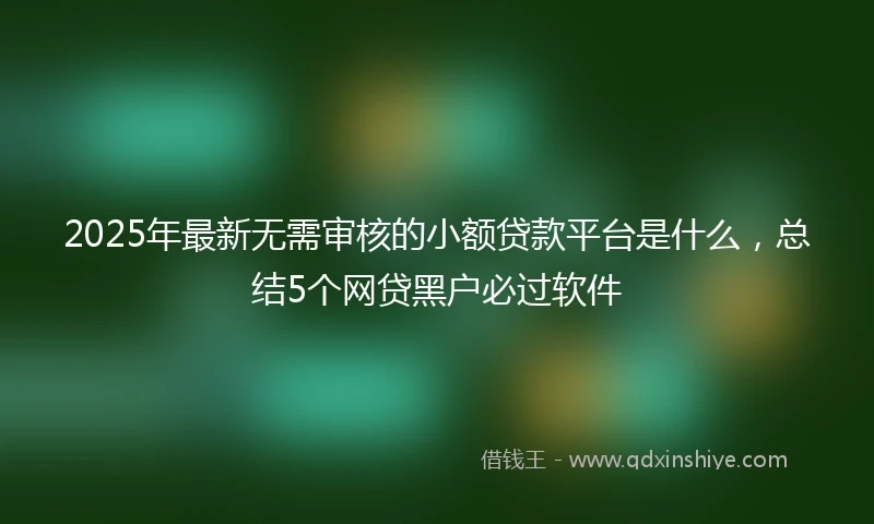 2025年最新无需审核的小额贷款平台是什么，总结5个网贷黑户必过软件