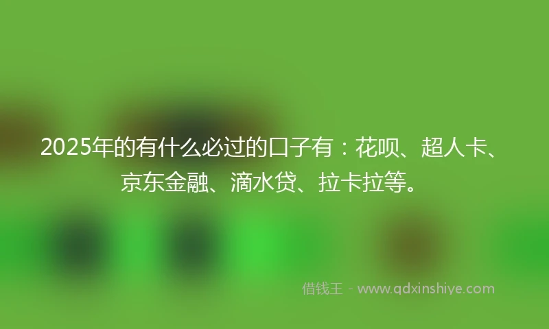 2025年的有什么必过的口子有：花呗、超人卡、京东金融、滴水贷、拉卡拉等。