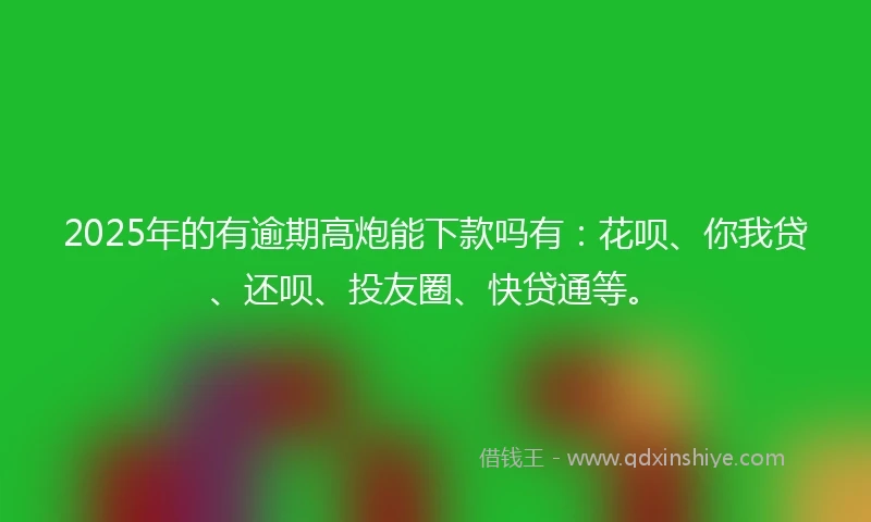 2025年的有逾期高炮能下款吗有：花呗、你我贷、还呗、投友圈、快贷通等。