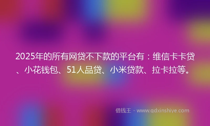 2025年的所有网贷不下款的平台有：维信卡卡贷、小花钱包、51人品贷、小米贷款、拉卡拉等。