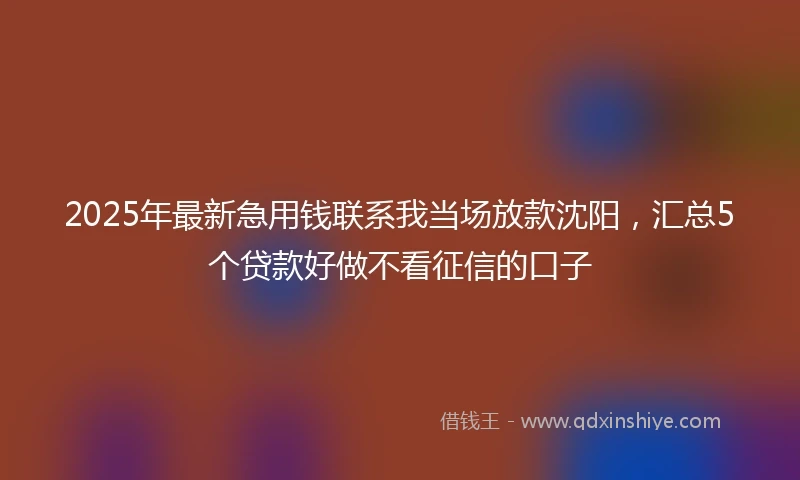 2025年最新急用钱联系我当场放款沈阳，汇总5个贷款好做不看征信的口子