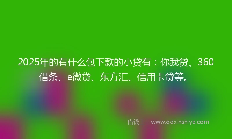 2025年的有什么包下款的小贷有：你我贷、360借条、e微贷、东方汇、信用卡贷等。