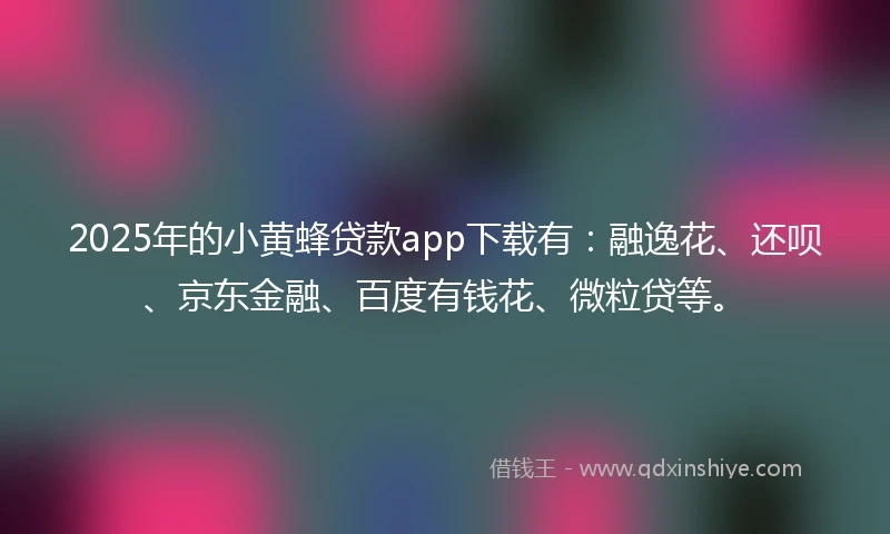 2025年的小黄蜂贷款app下载有：融逸花、还呗、京东金融、百度有钱花、微粒贷等。
