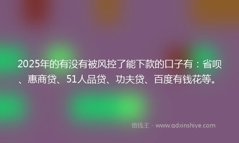 2025年的有没有被风控了能下款的口子有：省呗、惠商贷、51人品贷、功夫贷、百度有钱花等。