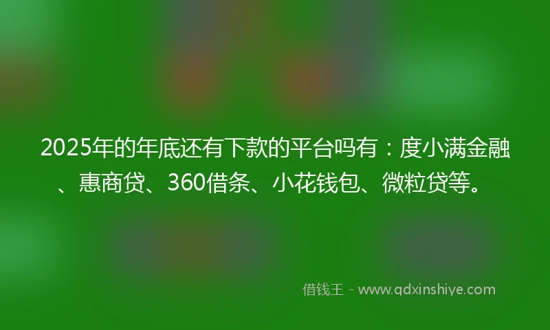 2025年的年底还有下款的平台吗有：度小满金融、惠商贷、360借条、小花钱包、微粒贷等。