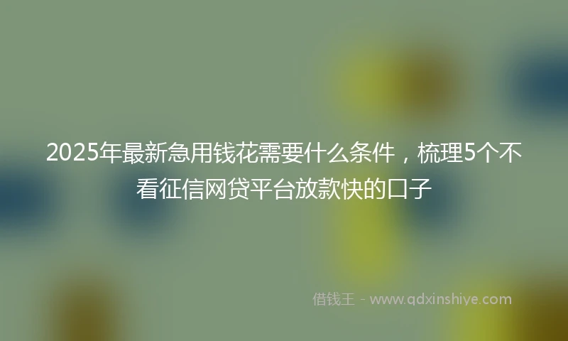 2025年最新急用钱花需要什么条件，梳理5个不看征信网贷平台放款快的口子