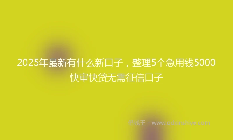 2025年最新有什么新口子，整理5个急用钱5000快审快贷无需征信口子