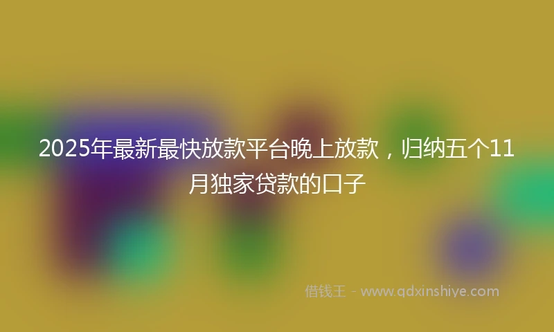 2025年最新最快放款平台晚上放款，归纳五个11月独家贷款的口子
