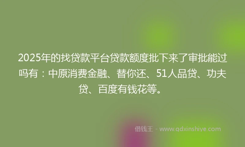 2025年的找贷款平台贷款额度批下来了审批能过吗有：中原消费金融、替你还、51人品贷、功夫贷、百度有钱花等。