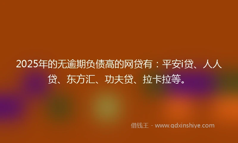 2025年的无逾期负债高的网贷有：平安i贷、人人贷、东方汇、功夫贷、拉卡拉等。