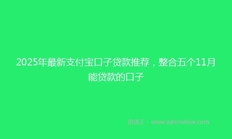2025年最新支付宝口子贷款推荐，整合五个11月能贷款的口子