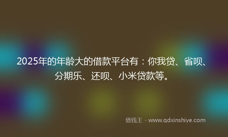2025年的年龄大的借款平台有：你我贷、省呗、分期乐、还呗、小米贷款等。
