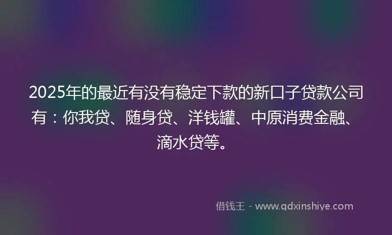 2025年的最近有没有稳定下款的新口子贷款公司有：你我贷、随身贷、洋钱罐、中原消费金融、滴水贷等。
