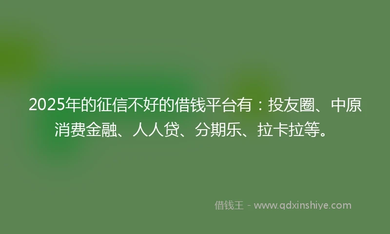 2025年的征信不好的借钱平台有：投友圈、中原消费金融、人人贷、分期乐、拉卡拉等。
