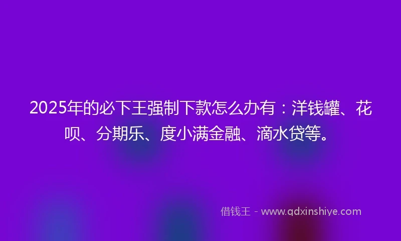 2025年的必下王强制下款怎么办有：洋钱罐、花呗、分期乐、度小满金融、滴水贷等。