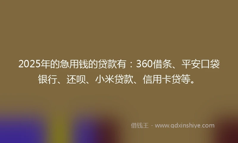 2025年的急用钱的贷款有：360借条、平安口袋银行、还呗、小米贷款、信用卡贷等。