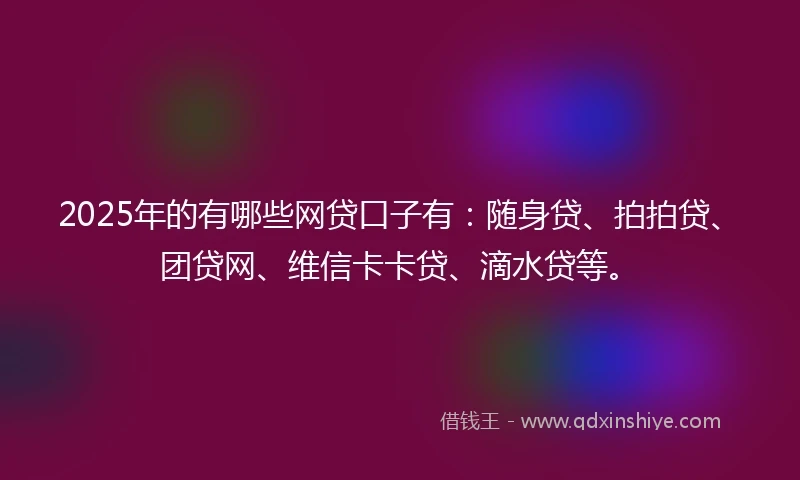2025年的有哪些网贷口子有：随身贷、拍拍贷、团贷网、维信卡卡贷、滴水贷等。
