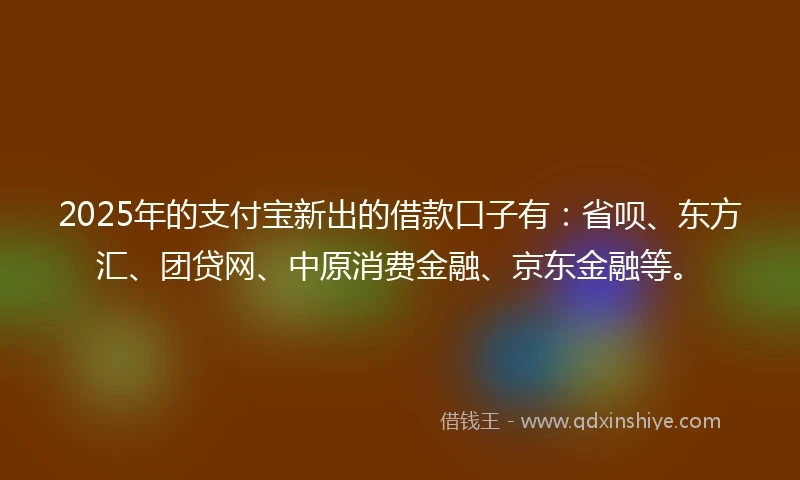 2025年的支付宝新出的借款口子有：省呗、东方汇、团贷网、中原消费金融、京东金融等。