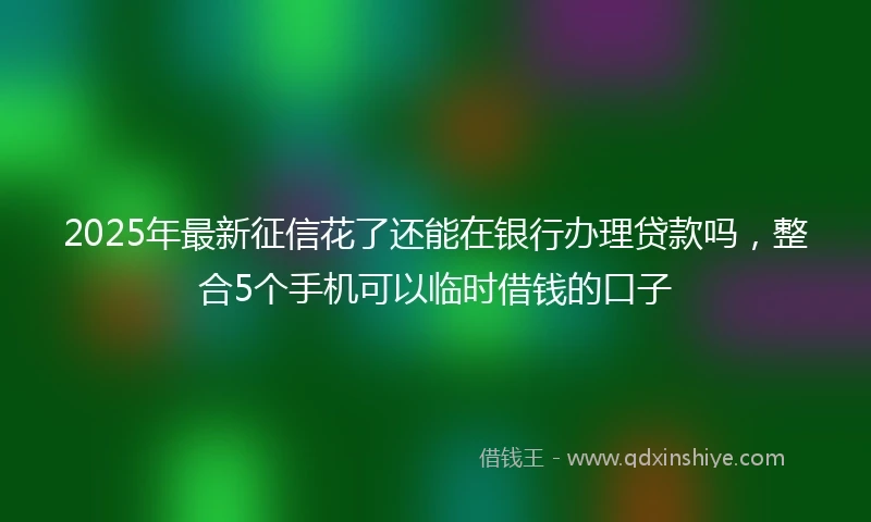2025年最新征信花了还能在银行办理贷款吗，整合5个手机可以临时借钱的口子
