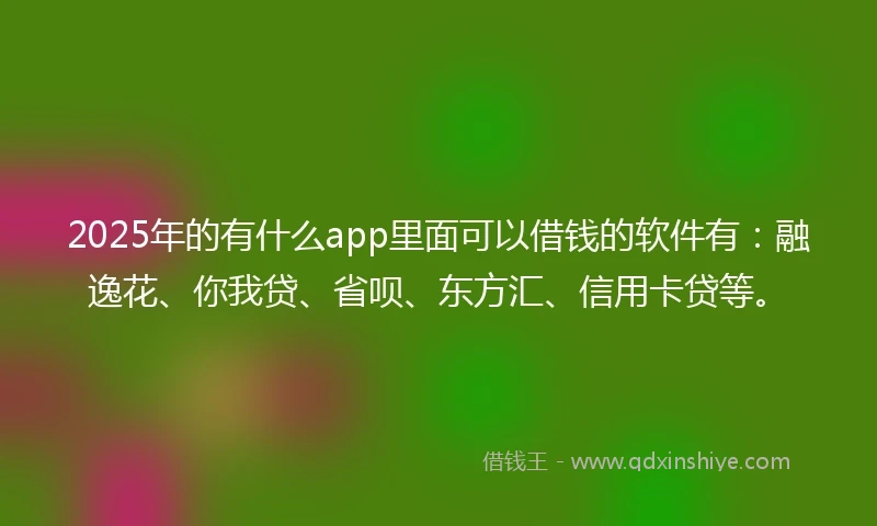2025年的有什么app里面可以借钱的软件有：融逸花、你我贷、省呗、东方汇、信用卡贷等。