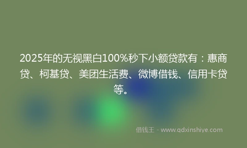 2025年的无视黑白100%秒下小额贷款有：惠商贷、柯基贷、美团生活费、微博借钱、信用卡贷等。