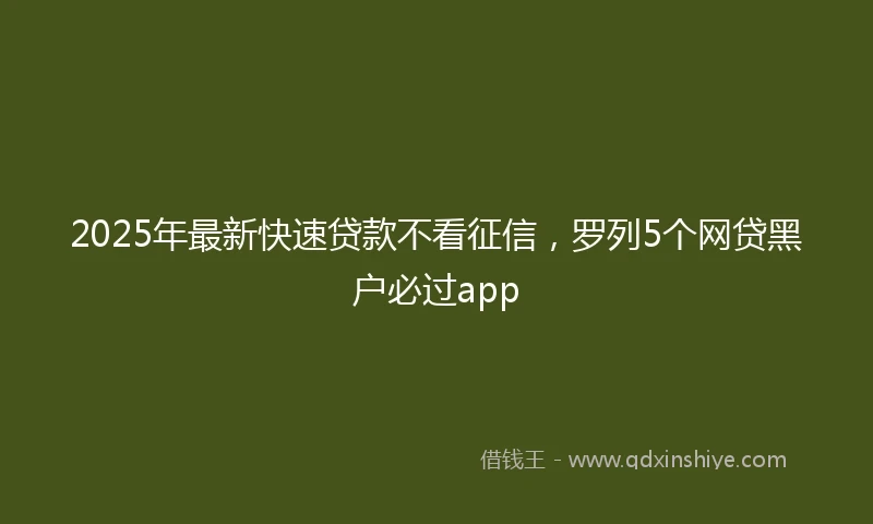 2025年最新快速贷款不看征信，罗列5个网贷黑户必过app