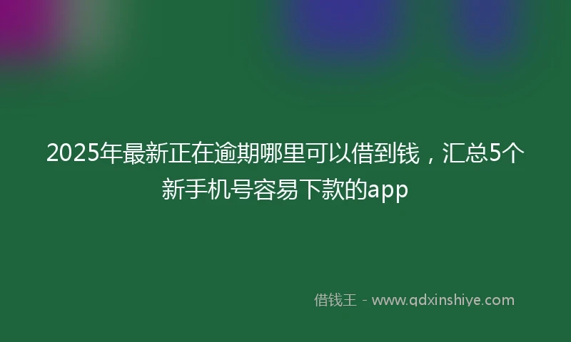 2025年最新正在逾期哪里可以借到钱，汇总5个新手机号容易下款的app