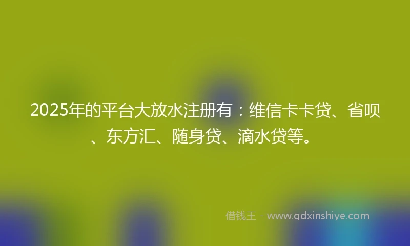 2025年的平台大放水注册有：维信卡卡贷、省呗、东方汇、随身贷、滴水贷等。