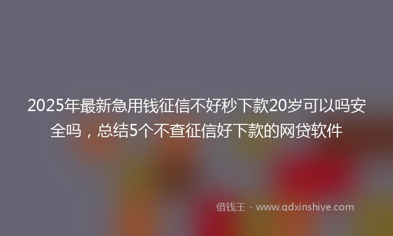 2025年最新急用钱征信不好秒下款20岁可以吗安全吗，总结5个不查征信好下款的网贷软件